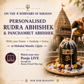 Personalised Rudra Abhishek at Mahakal Temple, Ujjain