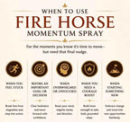 Fire Horse Momentum Spray