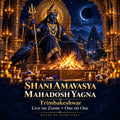 Shani Amavasya Mahadosh Yagna