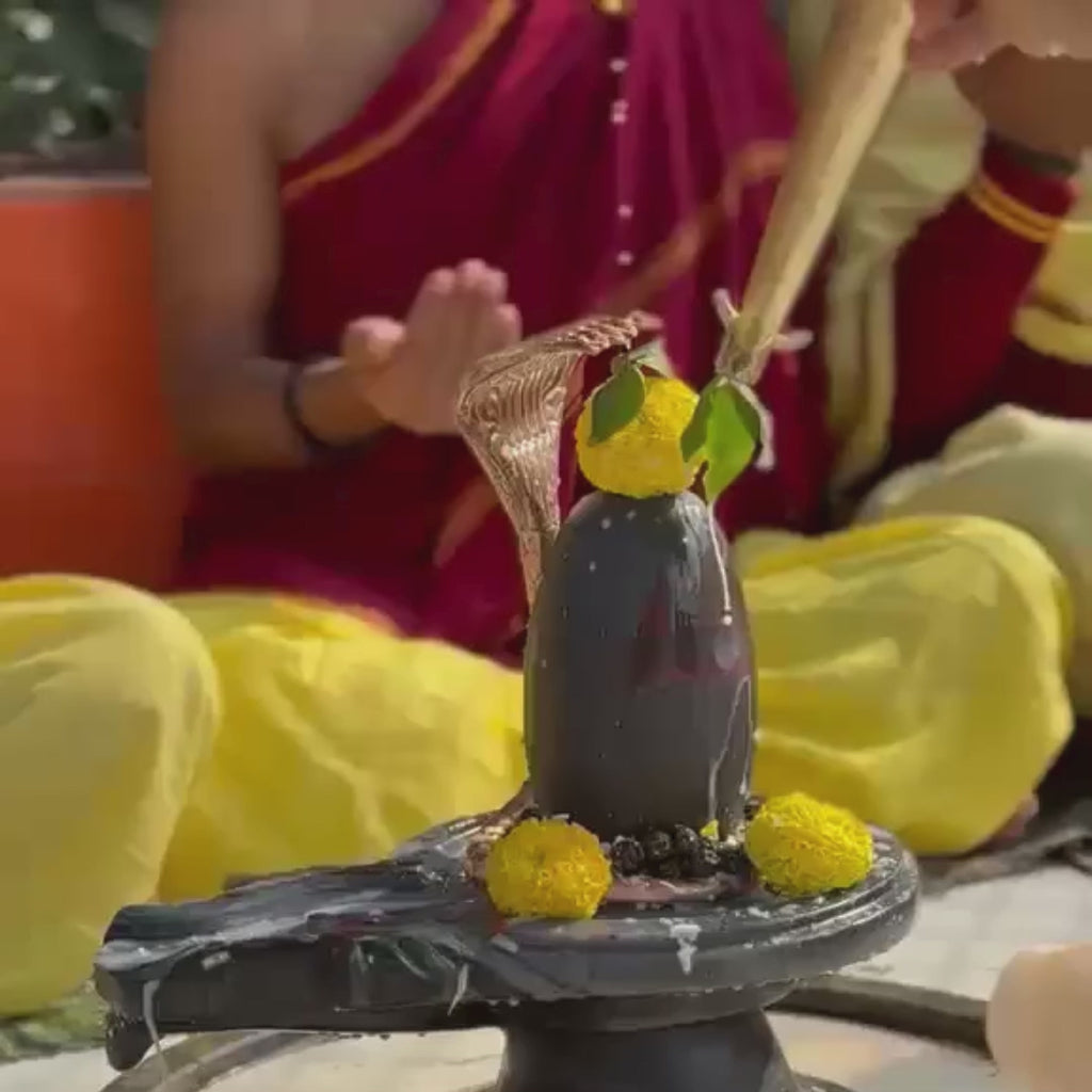 Personalised Rudra Abhishek at Trimbakeshwar, Nashik